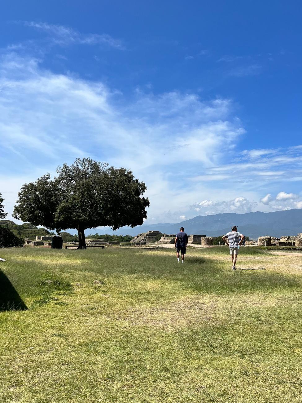 Oaxaca Landscape