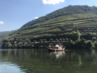 Douro Valley