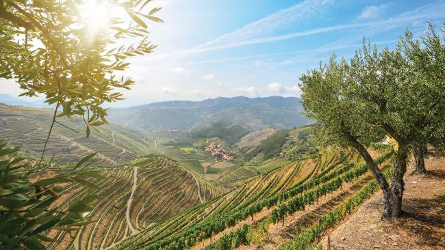 Douro Valley - Credit to Travel Leaders