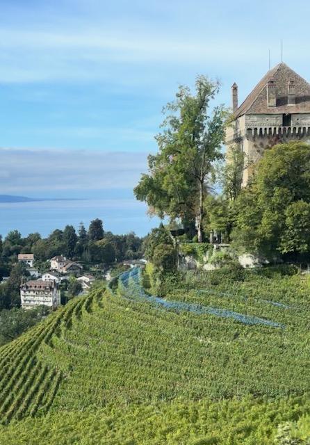 Switzerland Hillside