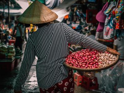 Vietnam - Photo by Alice Young on Unsplash