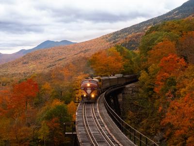 New England in the fall - Photo by Balazs Busznyak on Unsplash