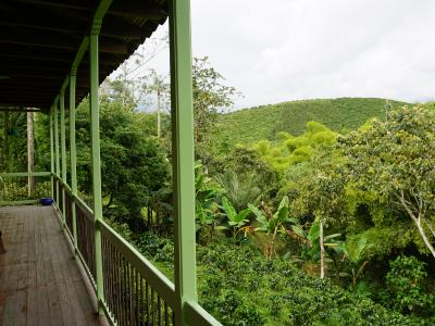 Coffee Region, Colombia