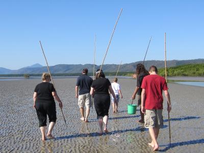 Spear fishing on the mudflats in Cairns, Australia