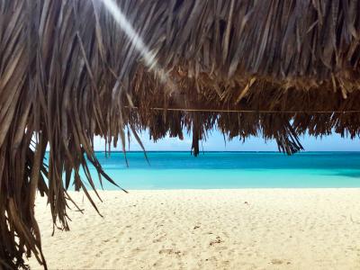 Rodger's Beach, San Nicolas Aruba Photo by Julie Lascaris on Unsplash