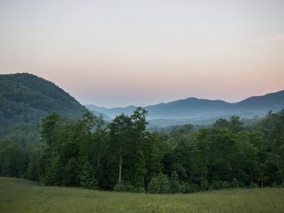 Blackberry Mountain - Tennessee