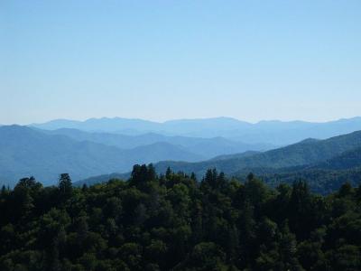Smoky Mountains, Tennessee Image by Mary Whalen from Pixabay 