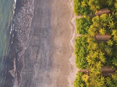 Isla Palenque, Panama