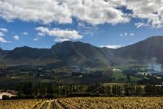 Cape Winelands