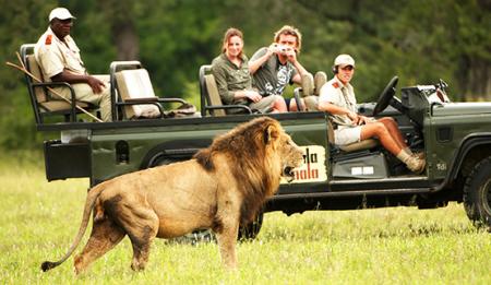 Mala Mala game reserve safari